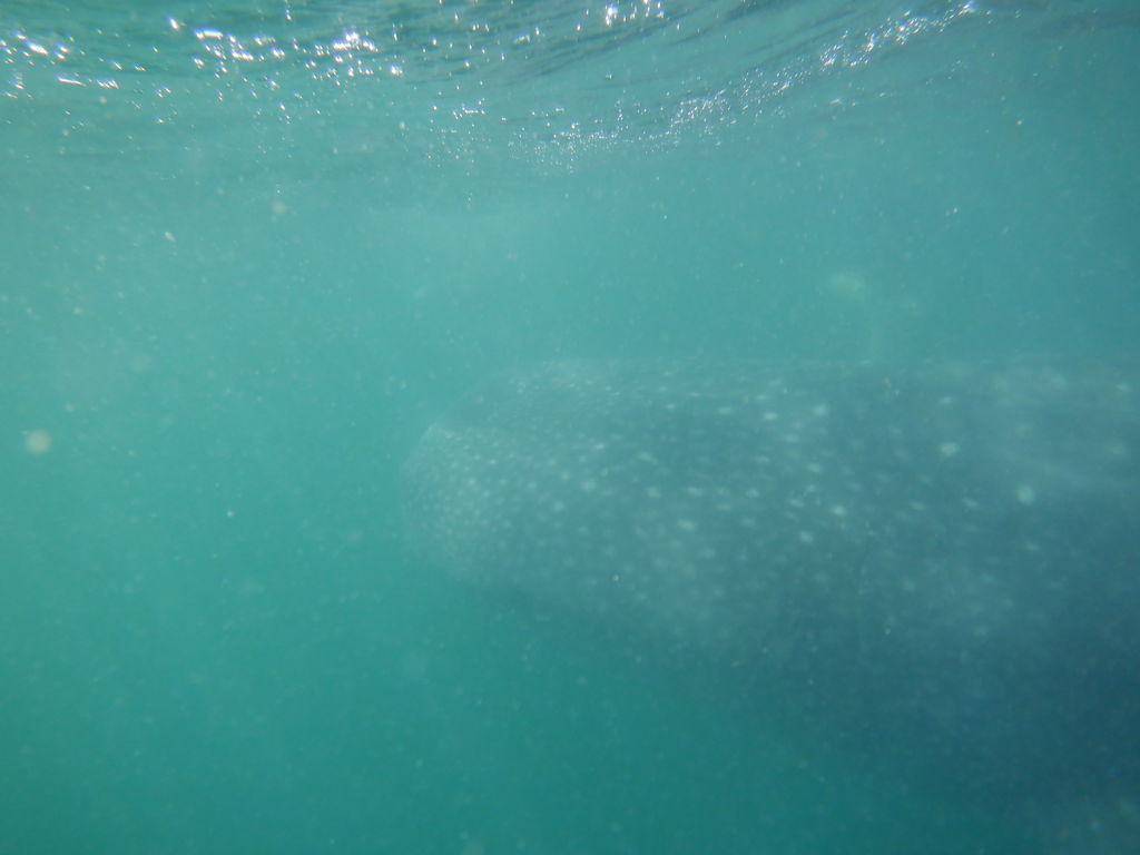 8c6d396c-91eb-4536-82a9-e5b89d713844