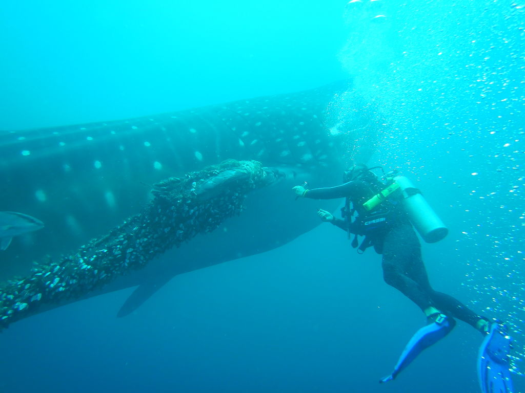 12bea003-a6f4-4811-a1a9-9a3639b89e9a