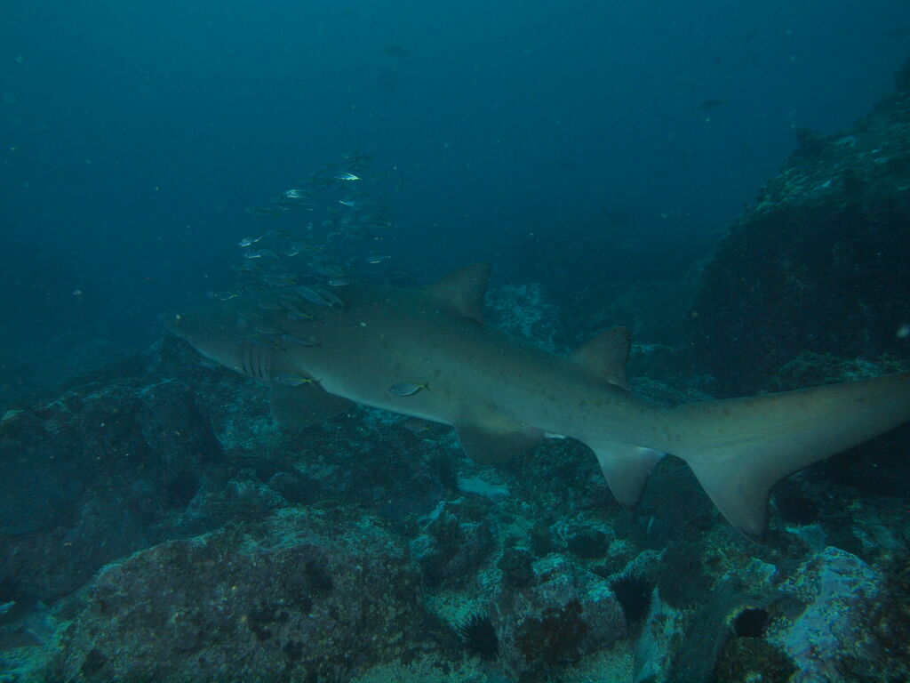 d0f7540e-1e39-492e-af0f-b9730daa0ecc