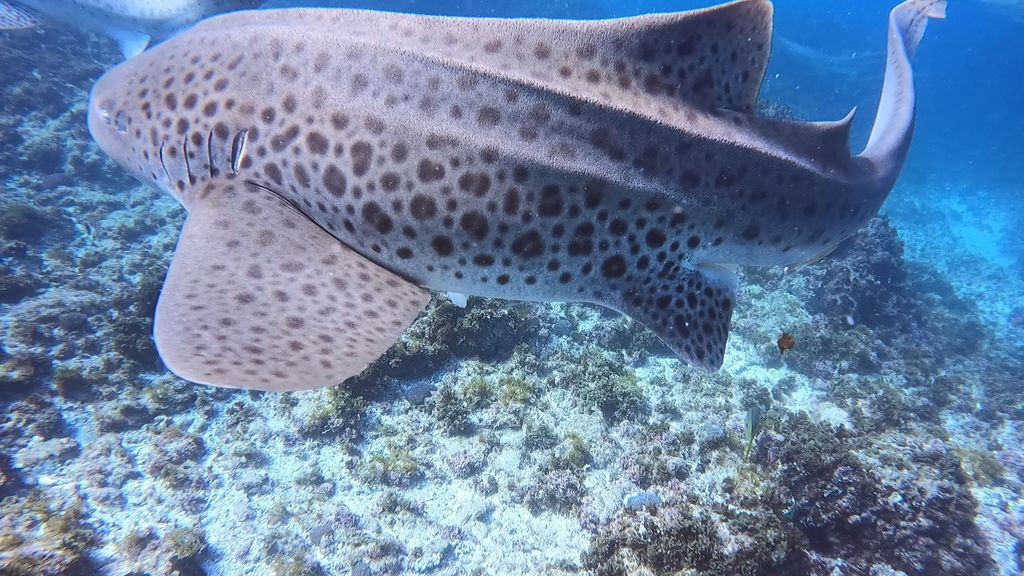 59c12914-671f-47b7-af59-403e537bf1f2