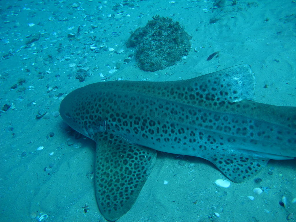 b80622cc-7f5b-4717-886b-9eaaea2f8b1d