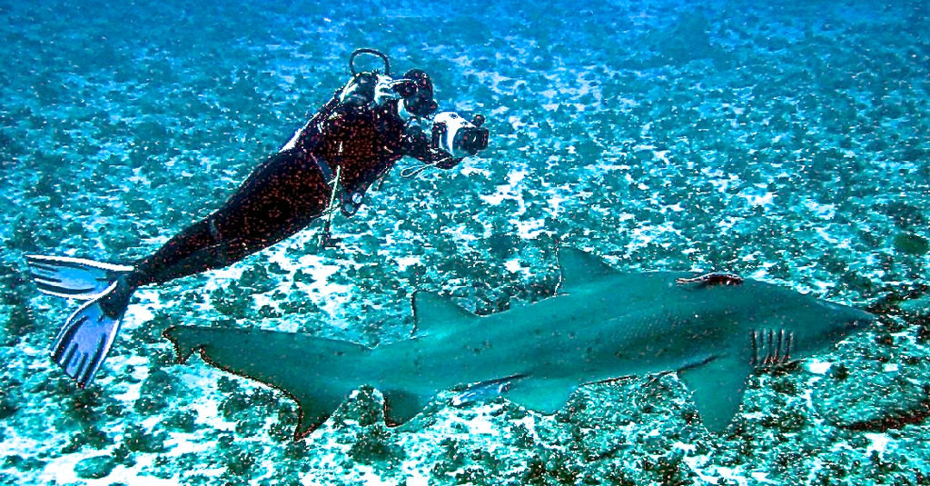 9f4d0d42-e68b-4653-9c79-1b3946a68b27