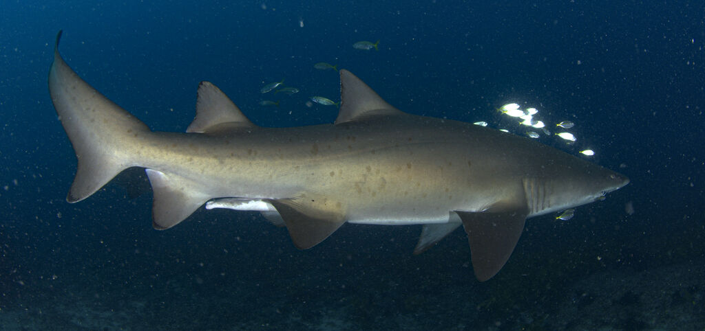 d9f6a2f7-3035-4d7e-8183-669e0d863ef6