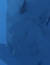 af6e8255-7389-40fa-9e0c-ba2630e91d2b