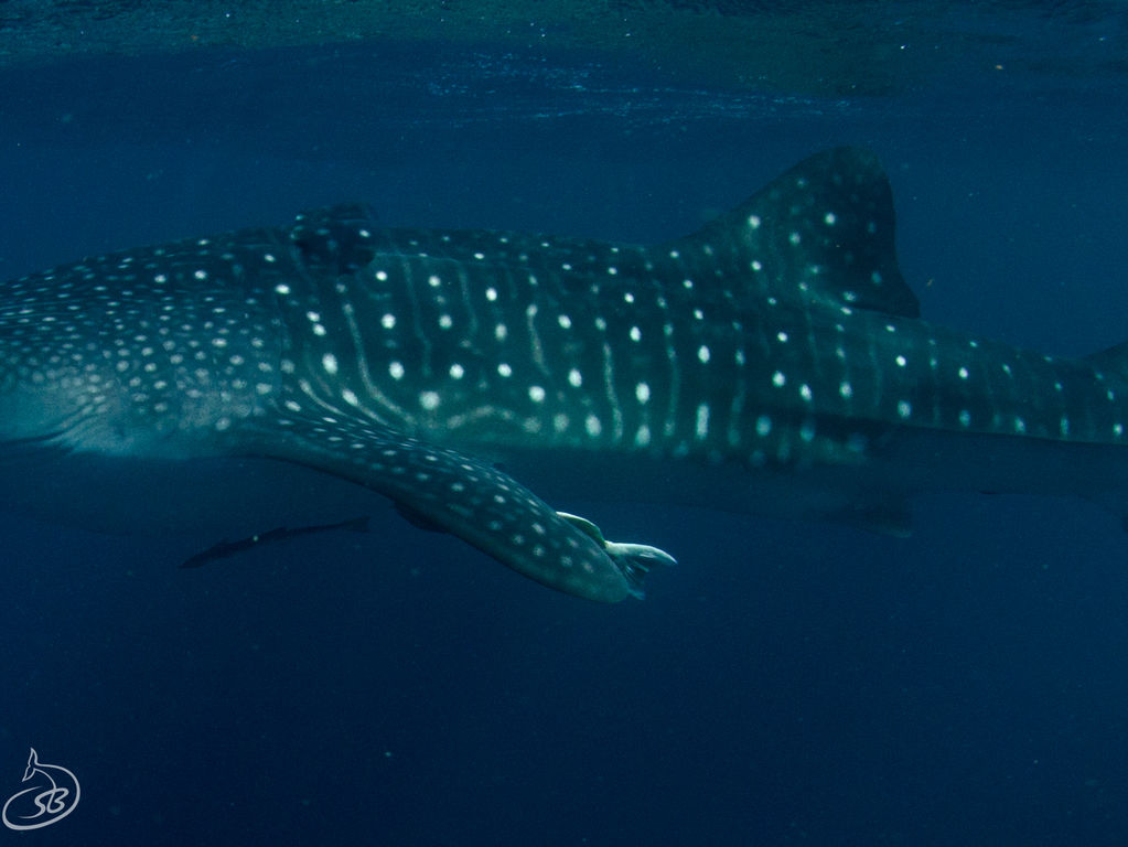 01c64b54-9a23-4b7f-bea9-44daf1bd2dda