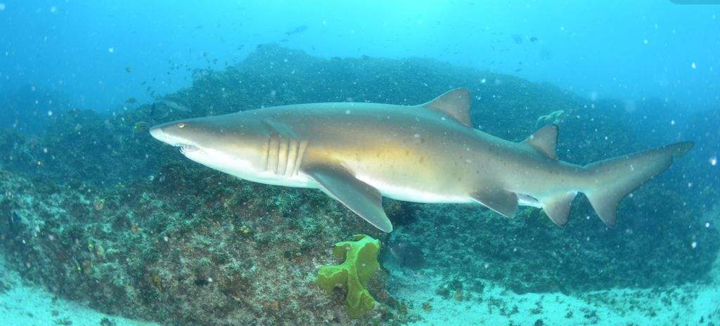 ec5397f2-8e6e-454a-ac9f-467c716a51f1