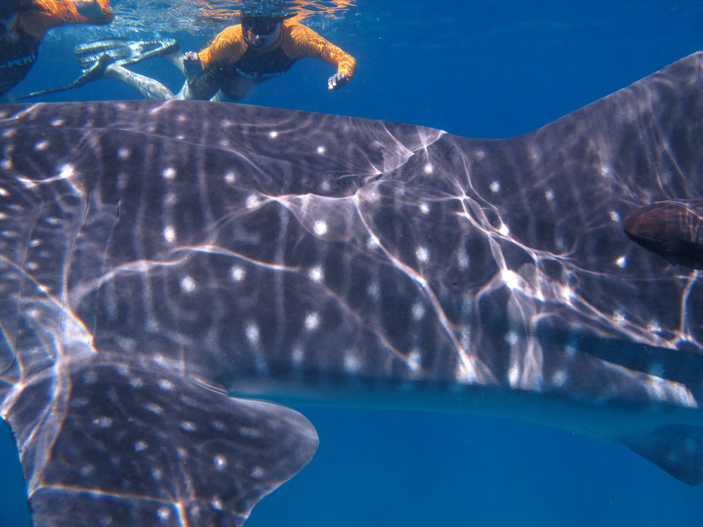 5b1e593d-dfc1-47db-80c1-c580a6613a44