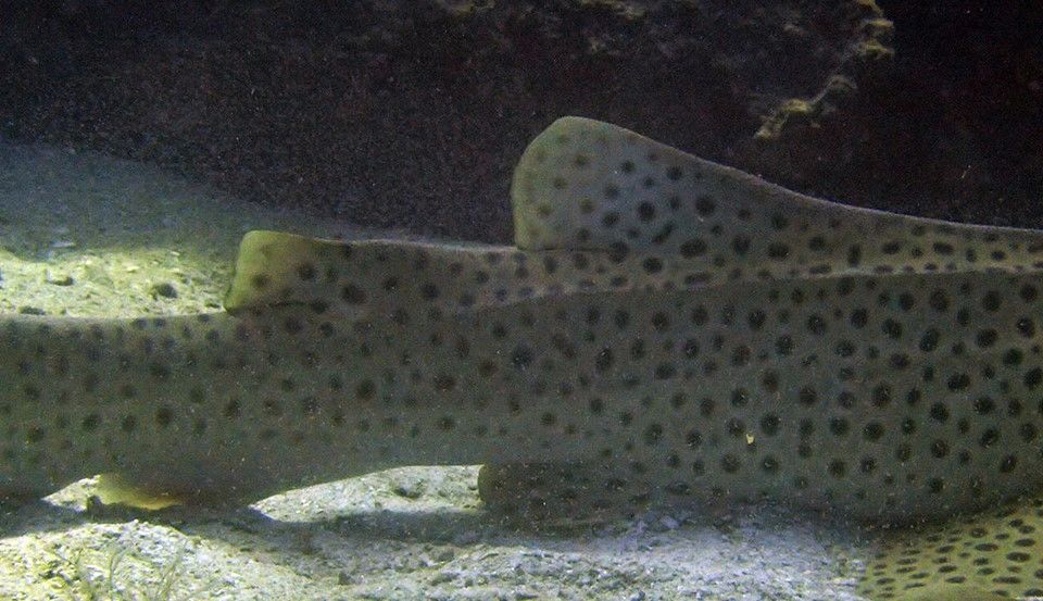 5fcd9f42-6df6-4a4f-81e7-0bcf581ba5aa