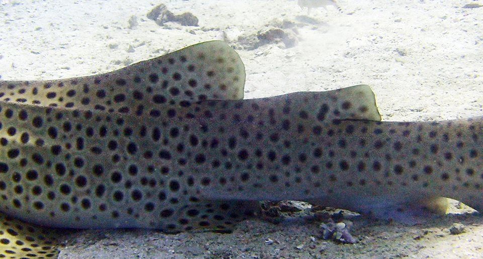 5fcd9f42-6df6-4a4f-81e7-0bcf581ba5aa