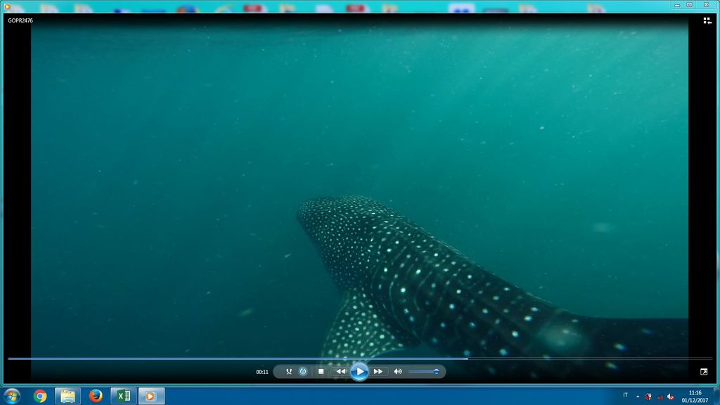 4bf9c650-b72d-4f87-b920-344493d1008f