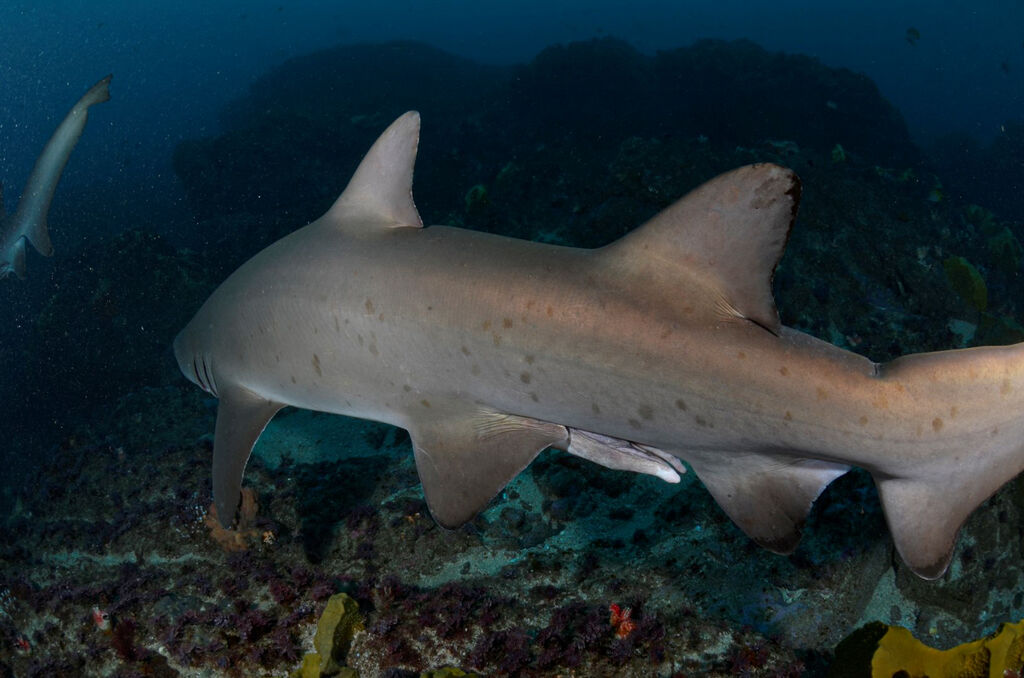 557ae21e-719a-4b44-acad-8ddd1b36c819