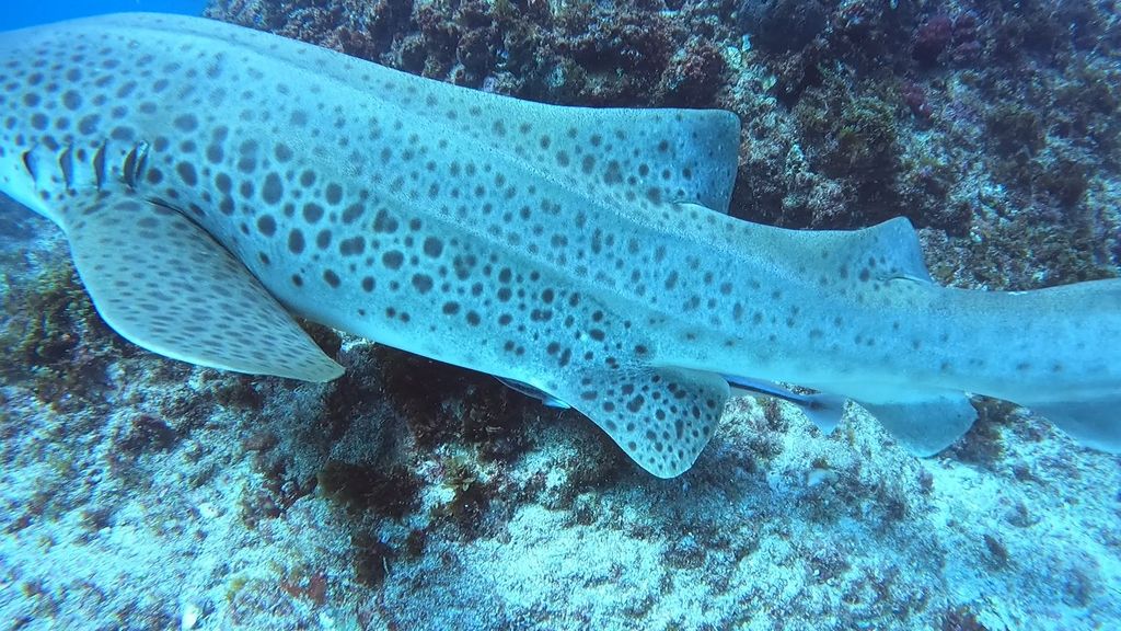 34551923-1f8e-424e-82d1-f2125fc5ede6