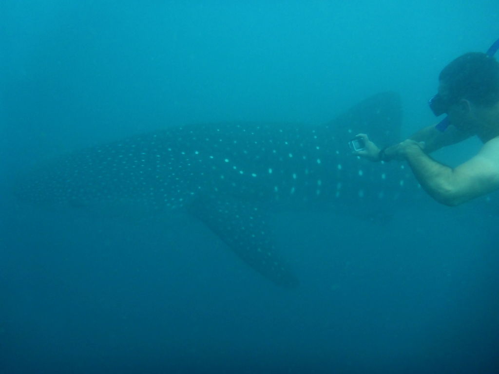 ac1ce693-32fc-4a86-91f2-5c90312a8bed