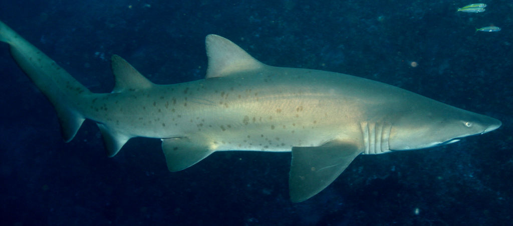 8db58cb3-0945-4dc1-a2a3-1cb3e06bf54d