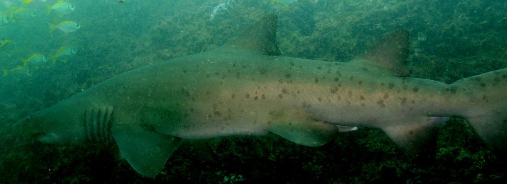 58610cb0-111d-4678-843d-ab4e928e2577