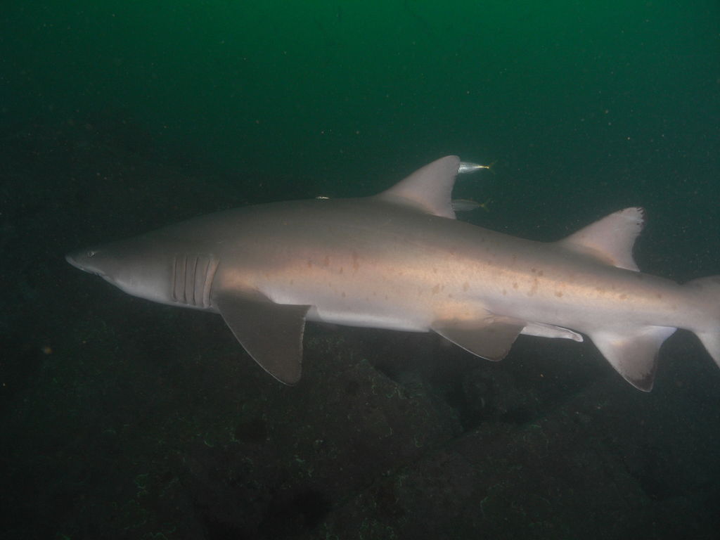 6f48d1c2-5870-4832-a177-a02ae62b2bac