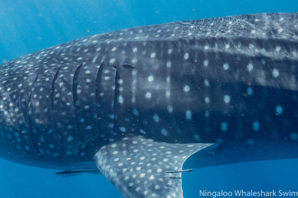 5ea467d6-1189-4b20-bb62-5b6354cb68bf