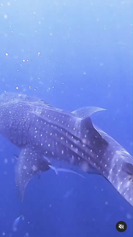 e1b987b8-c104-4093-9dd7-9e27302b236f