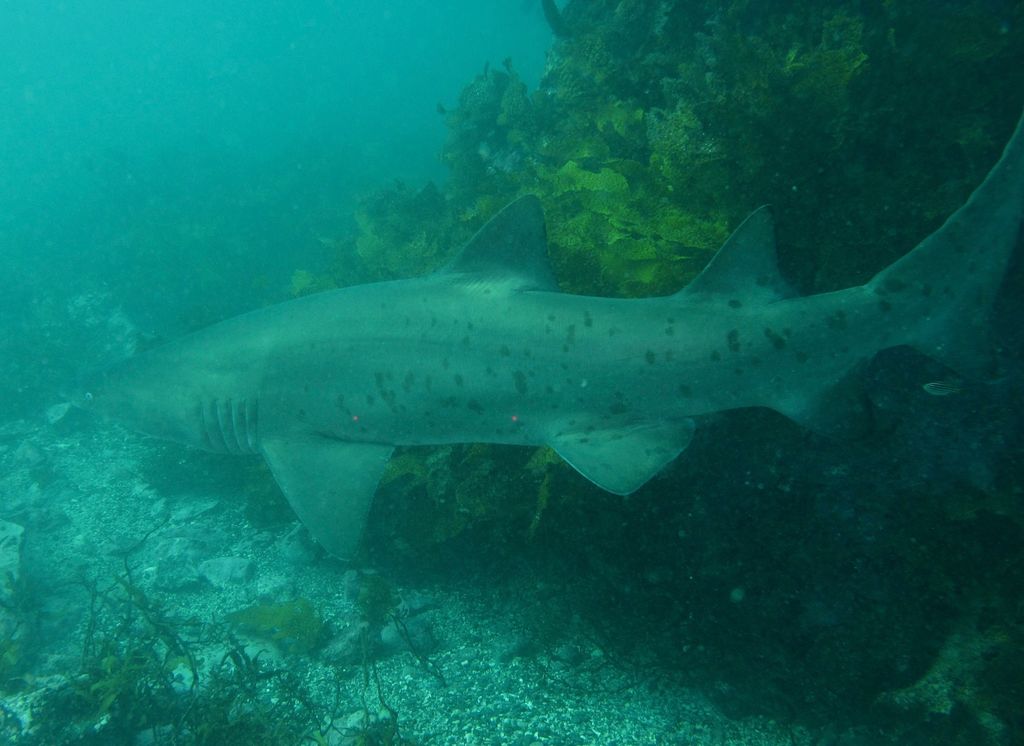 4868df4d-4e6b-41dc-b5c5-6ba64cec9395