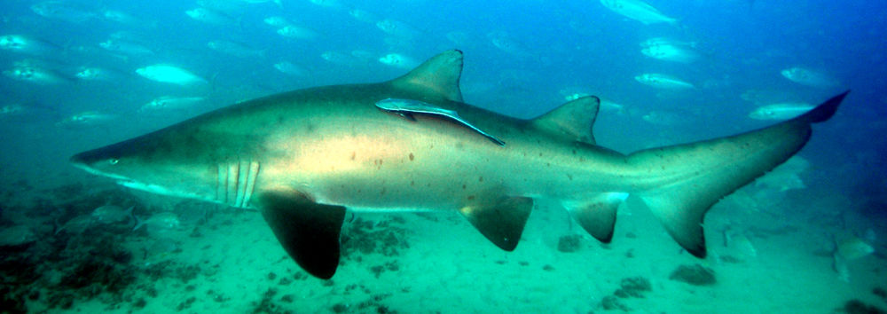 e8596399-47e2-4857-b1cf-8e3bb38003a9