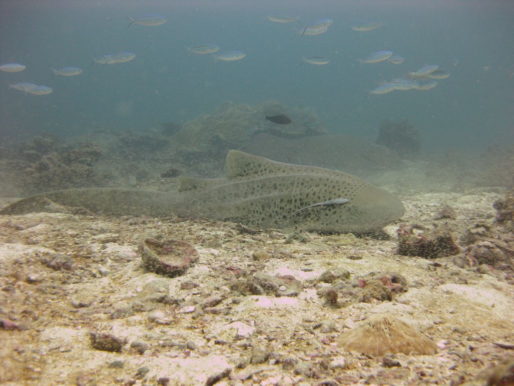 a1a2f5a9-c349-436f-9082-b1a50020c11e