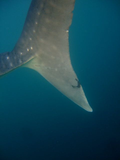 05b65e3c-0c2c-4c34-86a9-2ff156cfb6aa