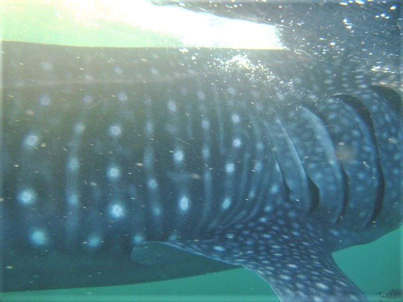 05b65e3c-0c2c-4c34-86a9-2ff156cfb6aa