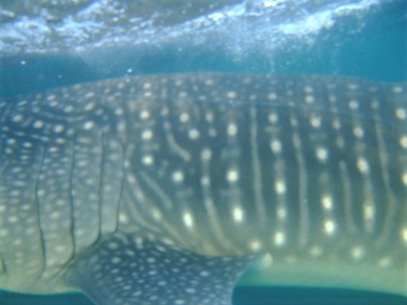 05b65e3c-0c2c-4c34-86a9-2ff156cfb6aa