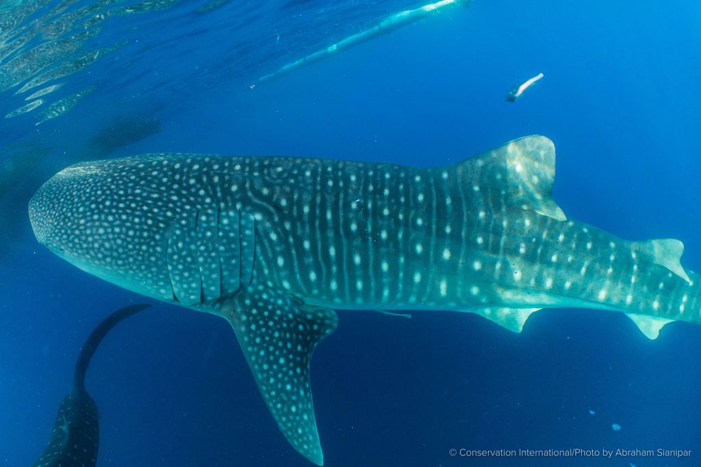 34c0f820-f3b3-4623-a5ae-0b29fda19363