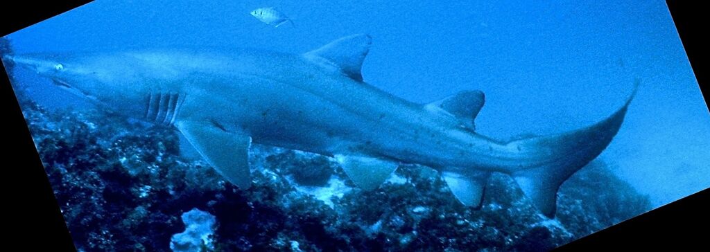 a240f3f8-8cb6-4e9a-9e8d-7213f492e412