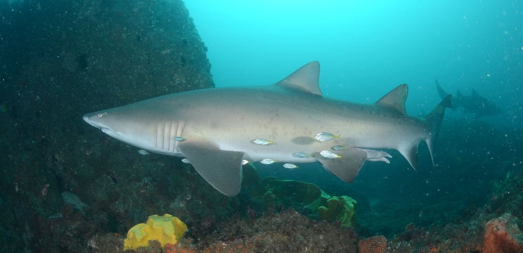 8be2dde4-f86a-45c3-83f3-ffd0e9c18e0d