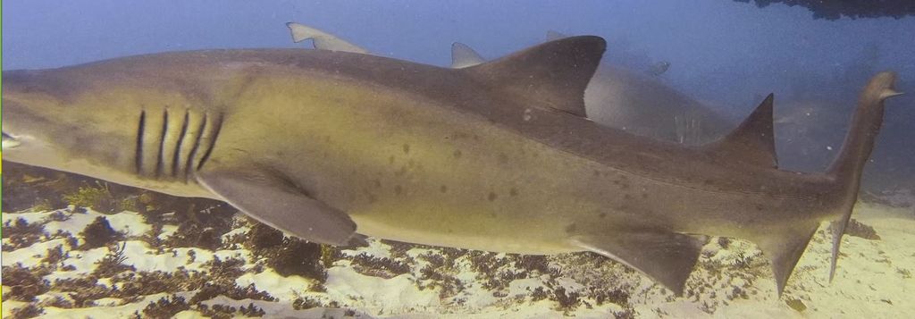 7a528646-f863-4202-8a38-21d394d70ccc