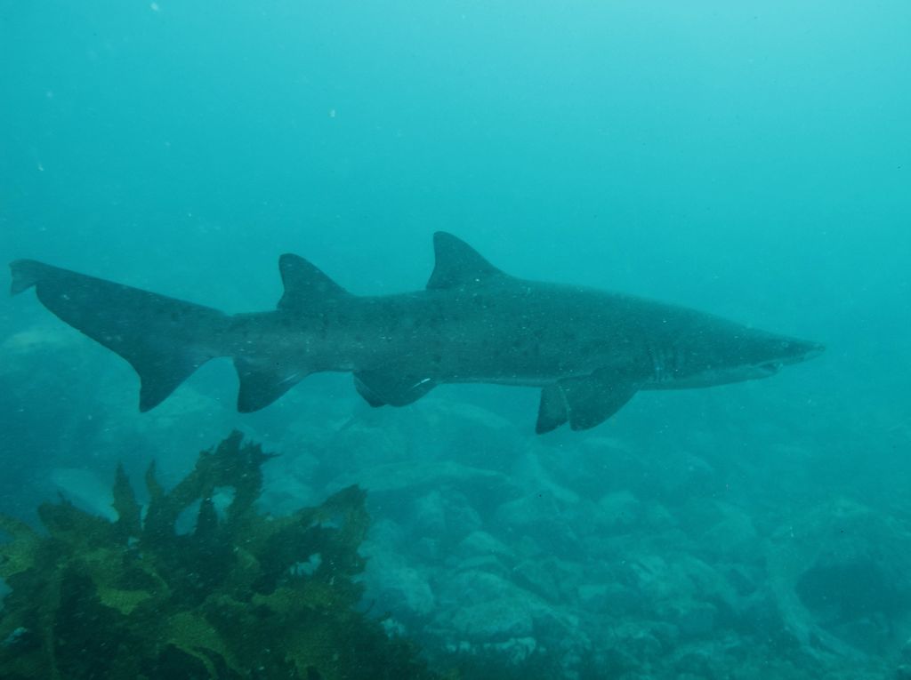 7799e8d7-9d61-413b-9715-19e6a0c8d844