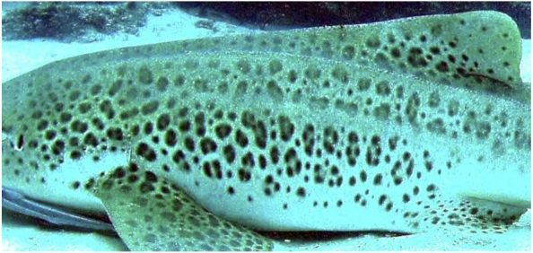 79108f32-caa1-4f4f-9fef-c9800dff1d57