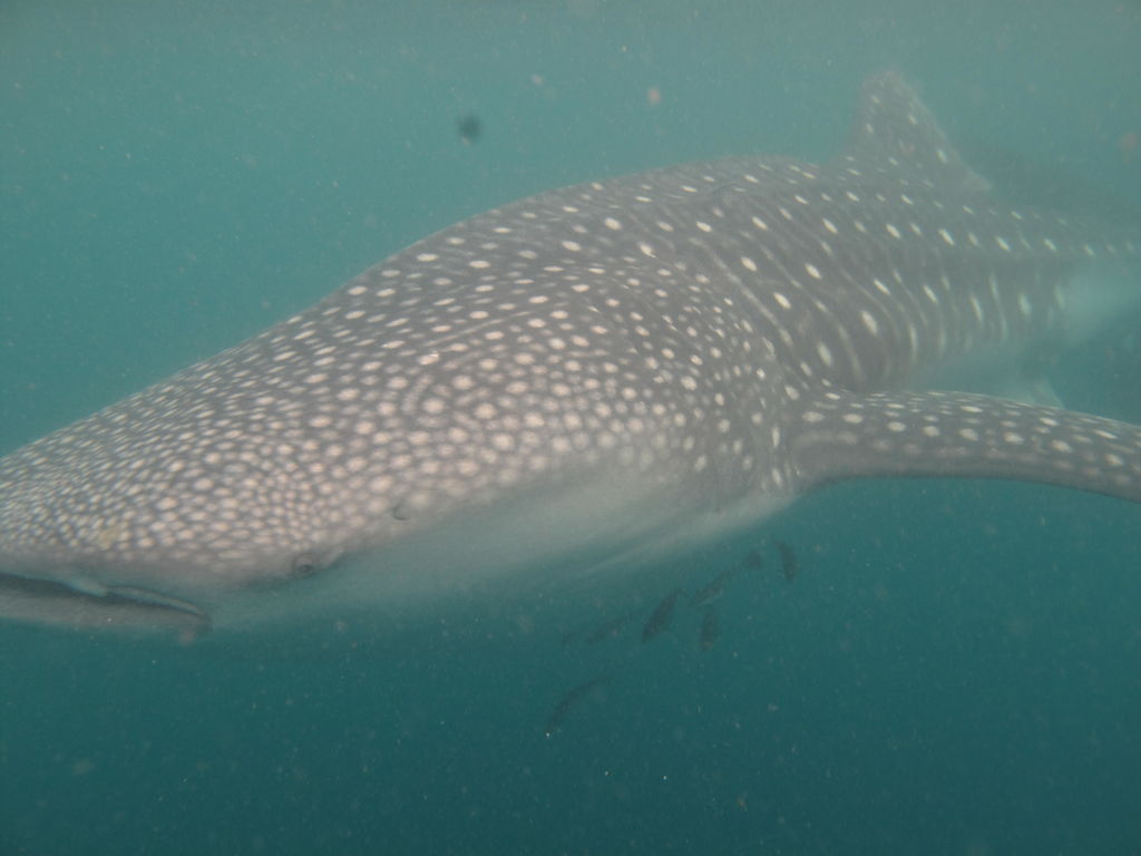 4dfc2508-b4ca-43a9-b37b-78148d6c8bf7