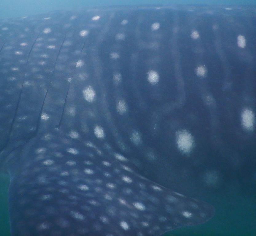 1f3eb58e-1598-474c-a990-9e9ddcd025b6