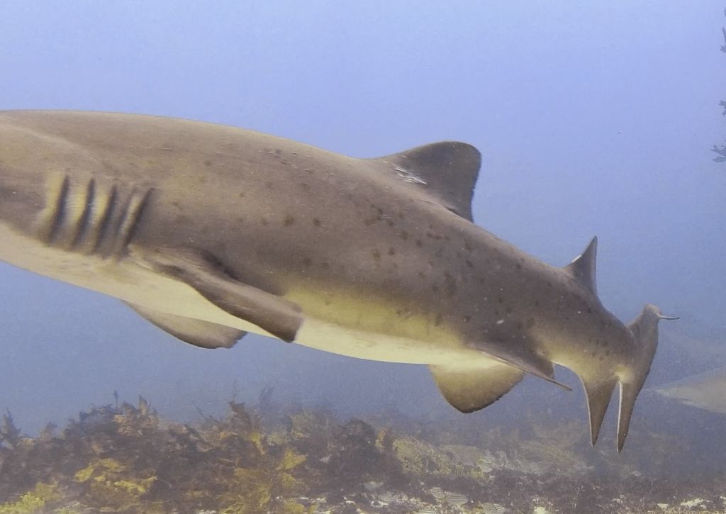 147cd9d3-97ce-4c21-9b7c-809c36fcc10a