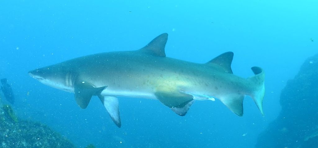 7d31a38d-76eb-43ac-843e-42761febb3ef