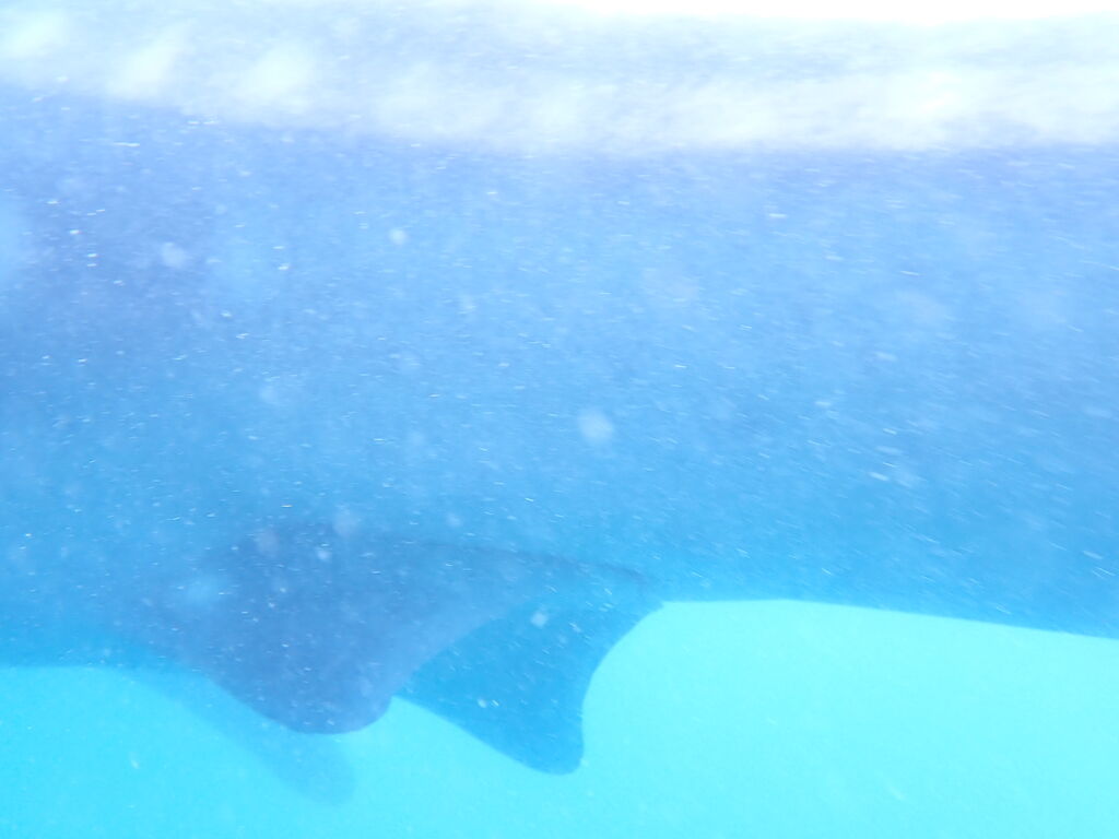 8ef5cfde-e826-4e29-9f49-1e2eb3e455c4