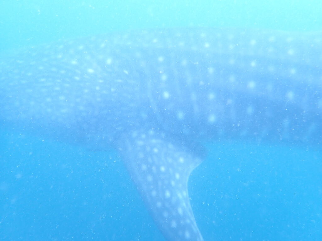 8ef5cfde-e826-4e29-9f49-1e2eb3e455c4