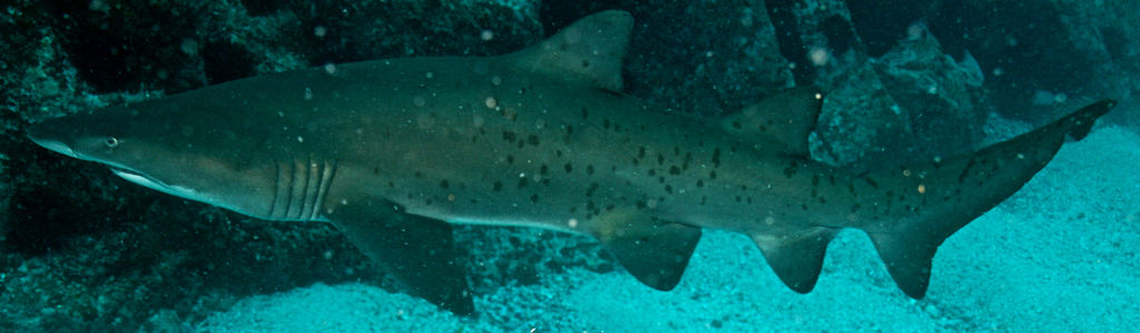 5ed39bdf-9618-4d29-b89e-677fc9138711