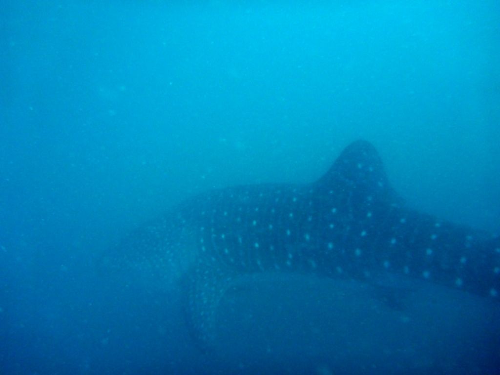 d3318f8f-d299-4107-80d6-317228b9d735