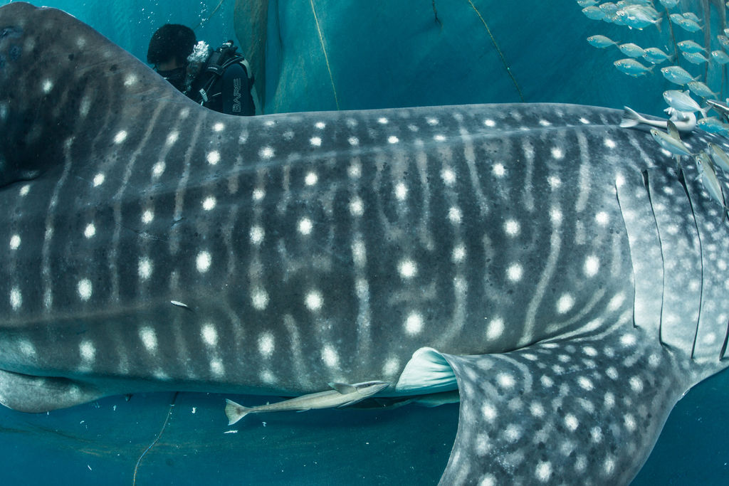 0909865f-bdc0-42ec-83b1-5f112c393c48