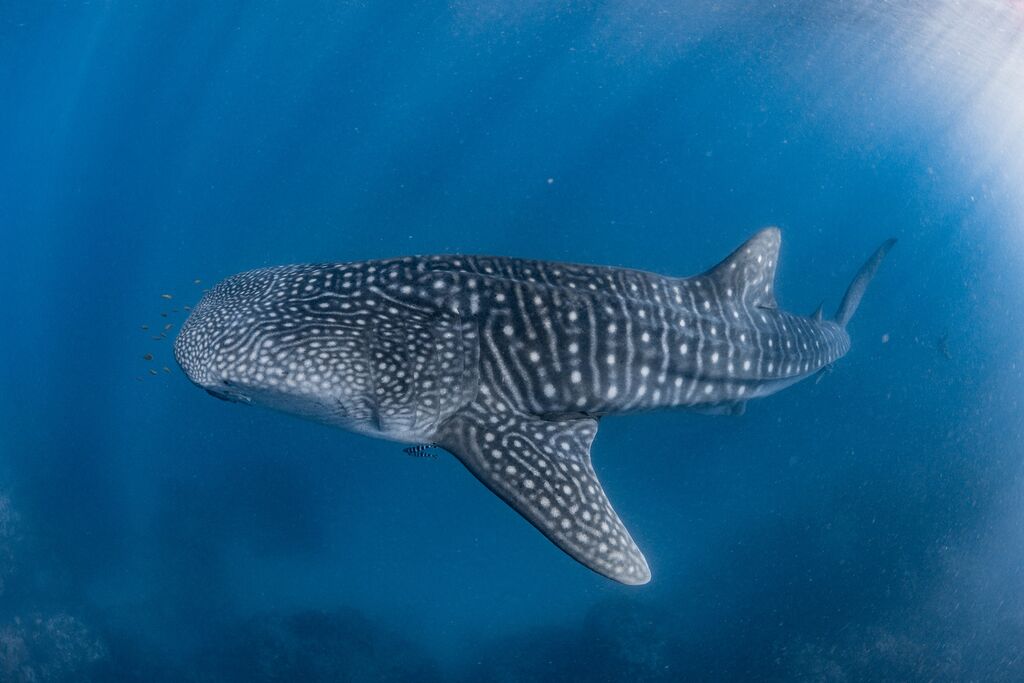 749a6e2c-abc8-4ae9-8ced-27f04583fdac