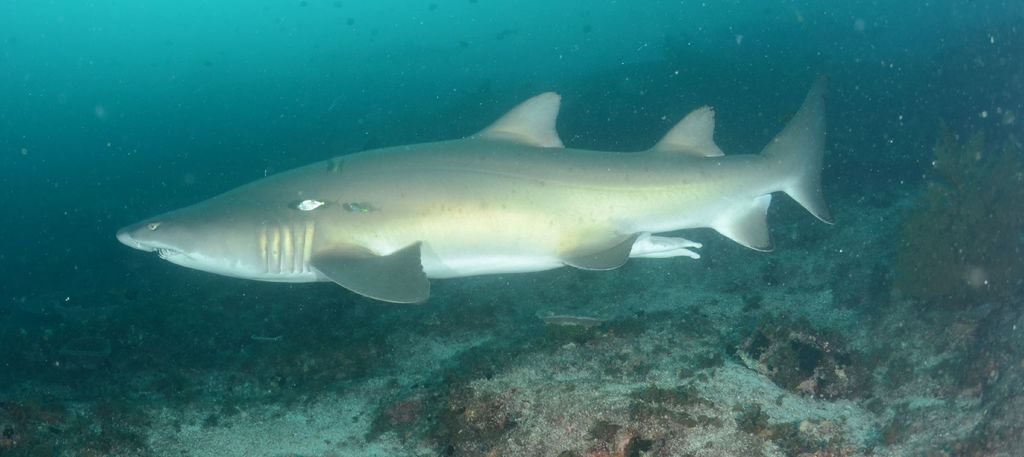 b95abcb5-97a3-4da4-9bcd-3a26cf884333