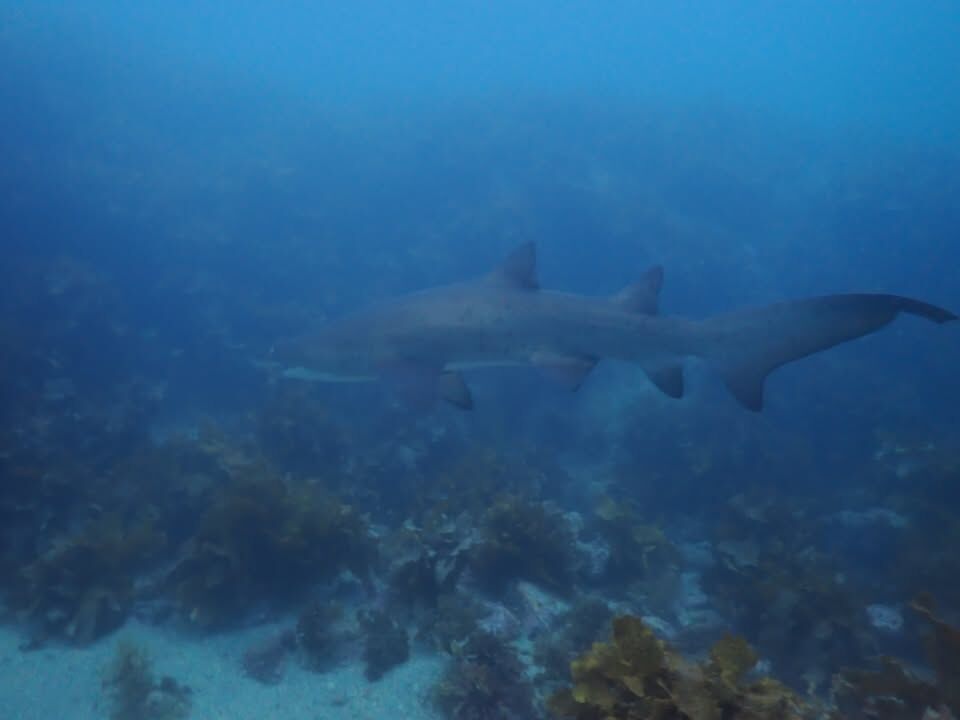 93251ab1-9047-4c1a-b0dc-4003203bbd5e