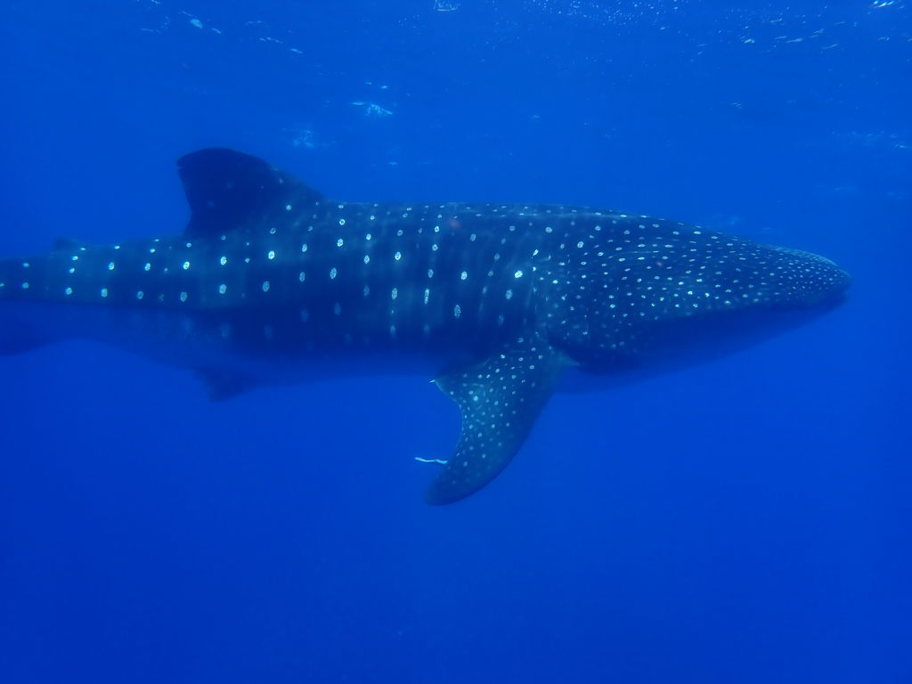 84a43abb-baee-4482-9421-bbc2e0f7c1f4