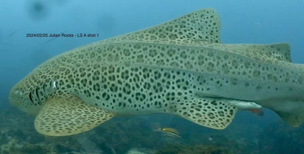 47e017f8-3f03-470b-a81c-cb28c6f390e8