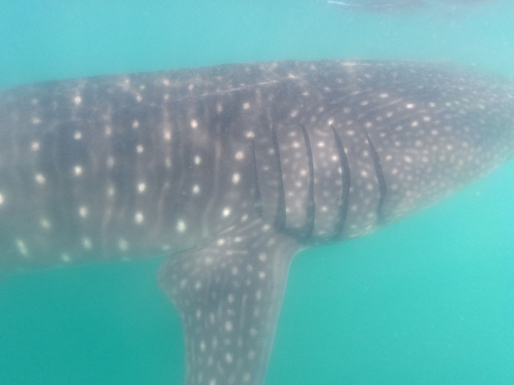 aa73991d-bc7c-40b2-97f8-0b2445bd81cb