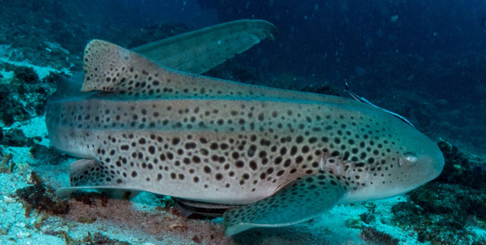 6ea7952e-b232-4ffa-834c-721d8beaad82